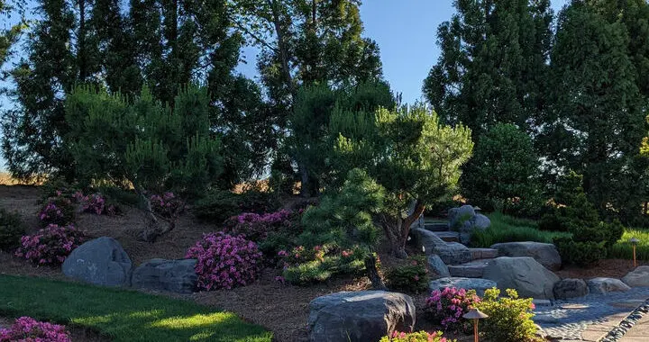 Nobedan Patio 2 Nobedan Patio 195407071 6226418414848 655943750773498139 N