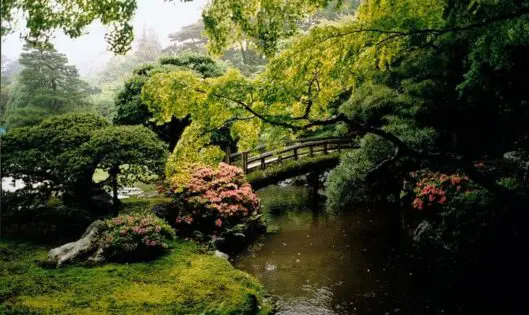 LEARNING FROM THE BEST_featured_image