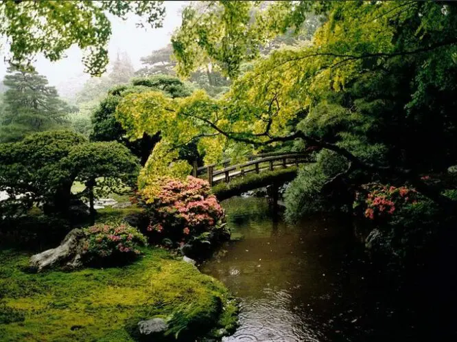 LEARNING FROM THE BEST_featured_image