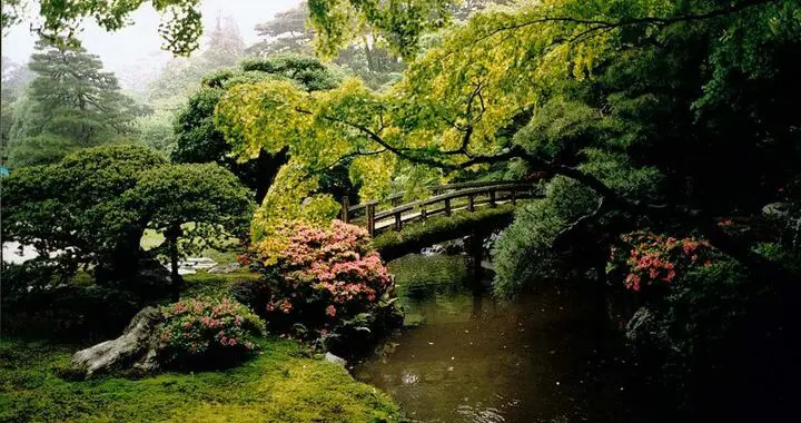 Learning From The Best 81951944 3673900129294467 7966514750341251072 N