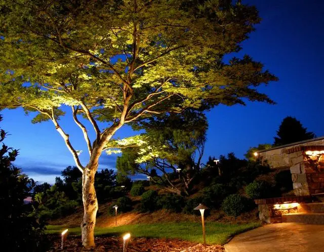 A RETURN TO PARADISE (Part 1): Stewarding Natural Beauty_featured_image