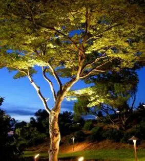 A RETURN TO PARADISE (Part 1): Stewarding Natural Beauty_featured_image