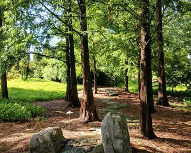 WHY I NEED A GARDEN IN MY LIFE (Part 4): HOPE_featured_image