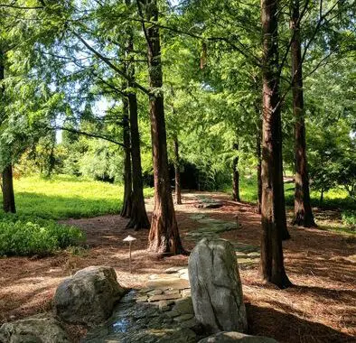 Why I Need A Garden In My Life (Part 4): Hope 5 Why I Need A Garden In My Life (Part 4): Hope 82914828 3673568532660960 7875075540854505472 N E1628804852857