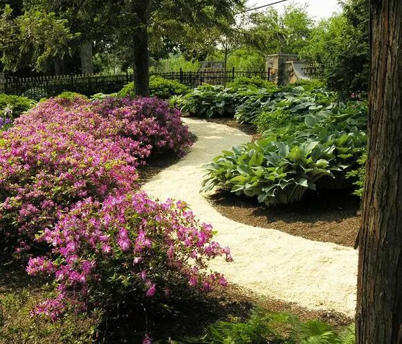 Good Earth_featured_image