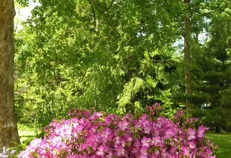 WHY I NEED A GARDEN IN MY LIFE (Part 2): SHELTER_featured_image