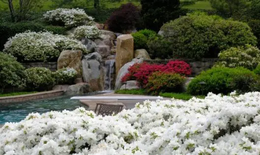 FALLING WATERS_featured_image