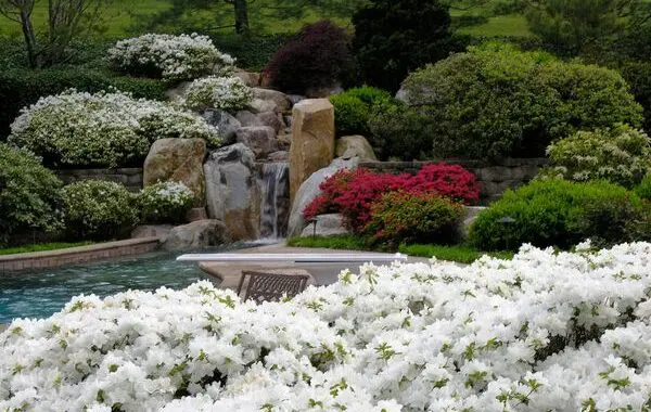 Falling Waters 3 Falling Waters 83492796 4186659771351831 4024584713529827421 N