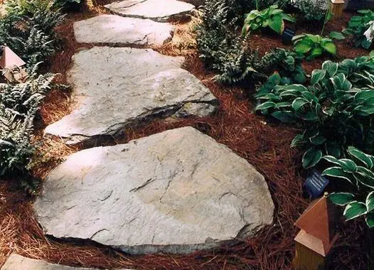 Much Ado About Mulch (Part 2 Of 3) 2 Much Ado About Mulch (Part 2 Of 3) 83523517 3673938189290661 7788022137222070272 N