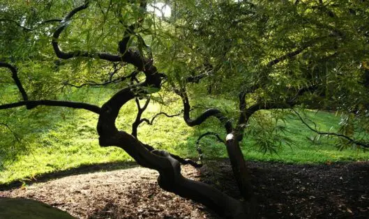 PREPARE NOW FOR SPRING BEAUTY_featured_image