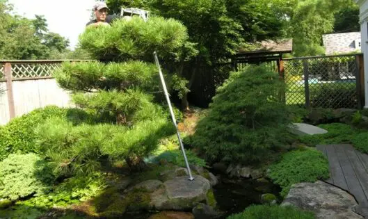 CARE TO CARE: Realizing your Garden Vision with Appropriate Care_featured_image