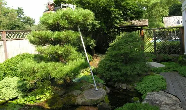 Care To Care: Realizing Your Garden Vision With Appropriate Care 5 Care To Care: Realizing Your Garden Vision With Appropriate Care 95582008 4010353918982418 2465083079241236480 N