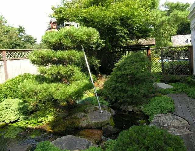 CARE TO CARE: Realizing your Garden Vision with Appropriate Care_featured_image