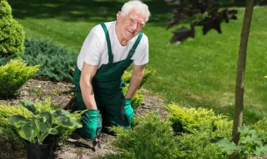 GARDENING: A COVID-PERMITTED ACTIVITY YOU CAN FEEL GOOD ABOUT_featured_image