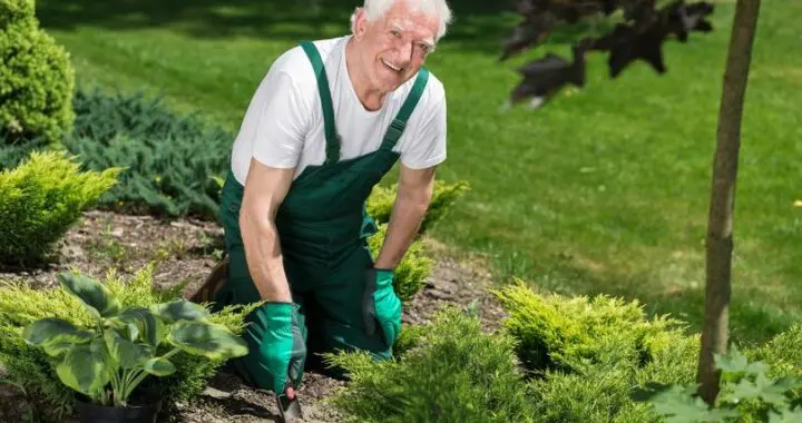Gardening: A Covid-Permitted Activity You Can Feel Good About 3 Gardening: A Covid-Permitted Activity You Can Feel Good About 99066327 4086372701380539 8547775480785272832 N