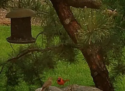 IN LIVING MEMORY_featured_image