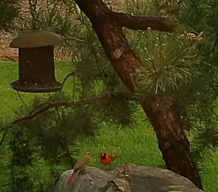 In Living Memory 2 In Living Memory 99081186 4086708101346999 8341646028721618944 N