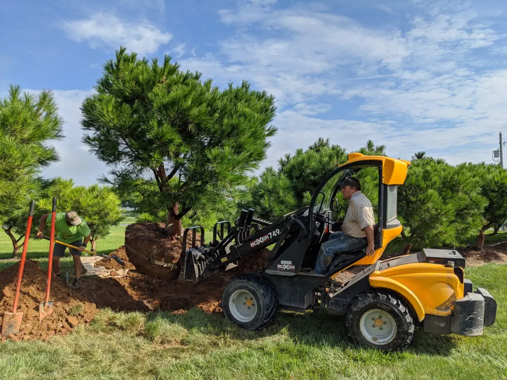Landscape Design 12 Hanselman Grows Hundreds Of Specialty Trees At Our Nursery In Manheim, Pa Allowing Us To Carefully Control The Quality And Appearance.