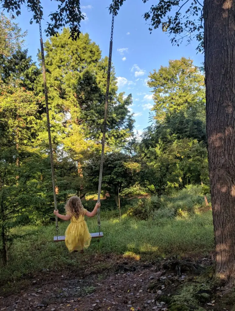 In Summer . . . 2 In Summer . . . Img 20180922 075944 1