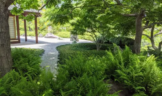INSIDE-OUT GARDEN VIEWS_featured_image
