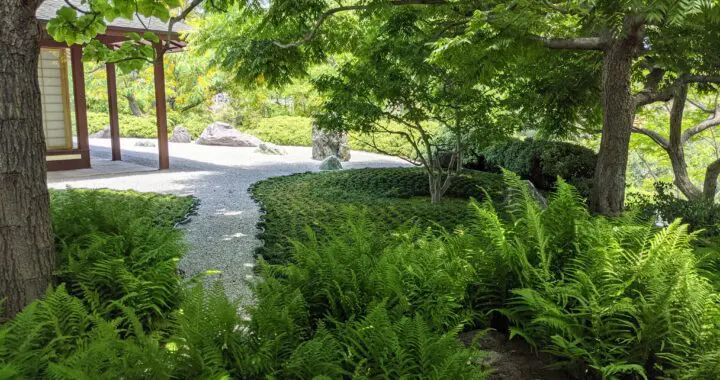 Inside-Out Garden Views 223848437 6116283745056081 1188074642045379021 N