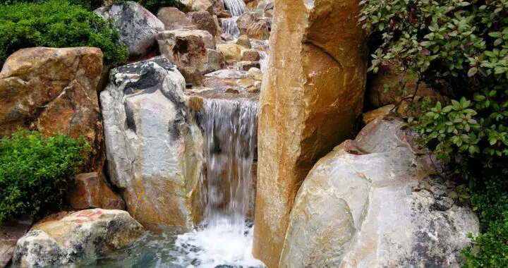 Theodore Roethke (In The Waking) 5 Theodore Roethke (In The Waking) 230244824 6188043137880141 1763489456351017920 N