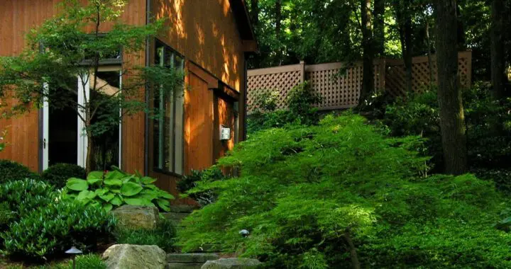 All Labor Uplifts Humanity 2 All Labor Uplifts Humanity 230797598 6188117824539339 9032203648540492404 N