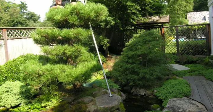 Restoring Your Soul 12 Restoring Your Soul 238908568 6223379911013130 2394818106373859627 N