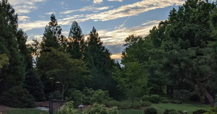 Summer Memories 2021 5 Summer Memories 2021 240509209 6372262526124867 697194196590854901 N