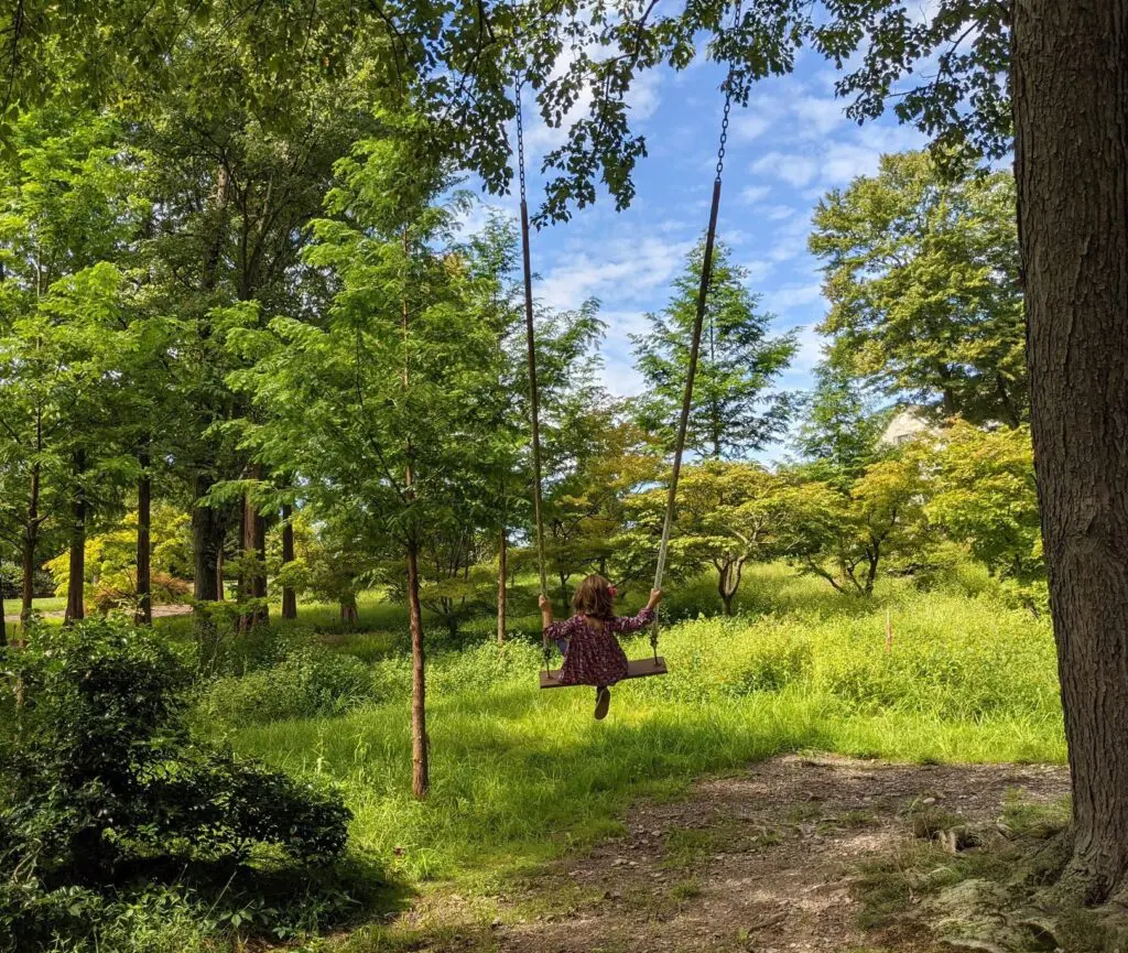 Summer Memories 2021 7 Summer Memories 2021 240595090 6372269042790882 1139378318249108680 N