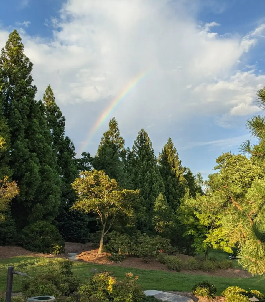 Summer Memories 2021 10 Summer Memories 2021 241281198 6372272506123869 7545012008362670065 N