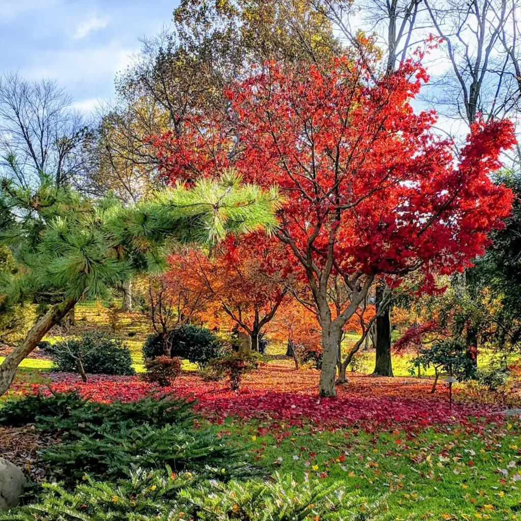 Inspiration: The Antidote To Humdrum 5 Inspiration: The Antidote To Humdrum 238747744 6223682337649554 5795080530232858035 N