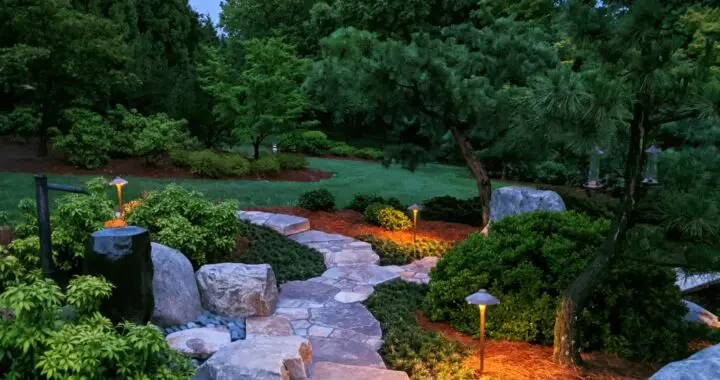 Garden Views In The Gloaming 240595789 6372063916144728 516648206211586925 N