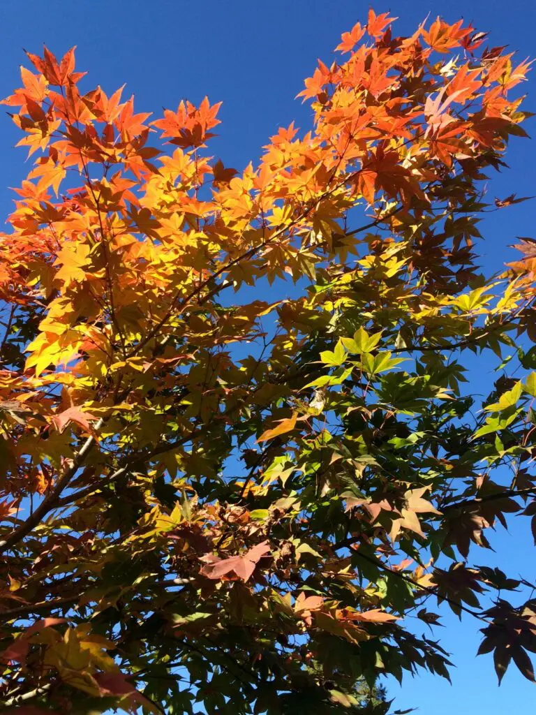 Color Your World! 15 Color Your World! 241805696 6371452842872502 8753826382824776878 N