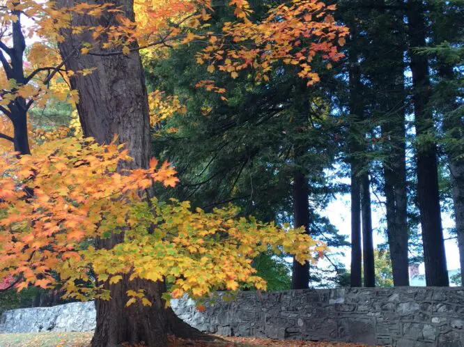 Color Your World!_featured_image
