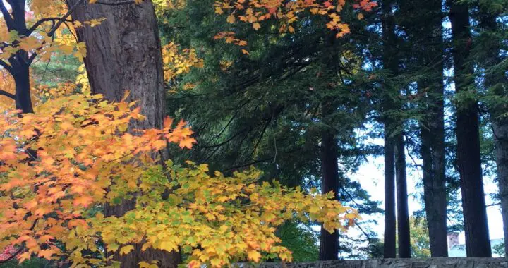 Color Your World! 241833621 6371453766205743 6353488589113287262 N