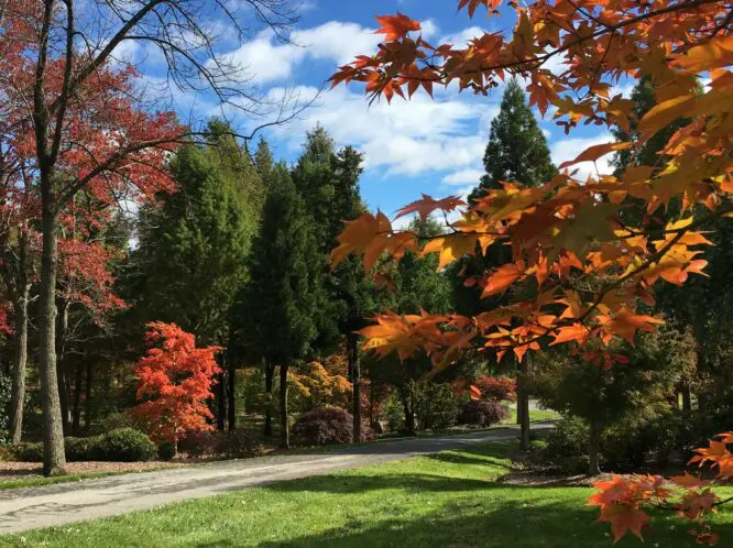 The Beauty of Autumn_featured_image