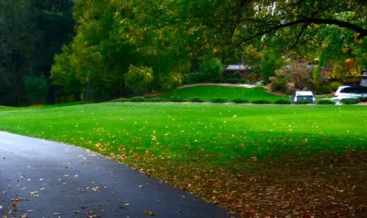 The Harmony of House and Garden_featured_image