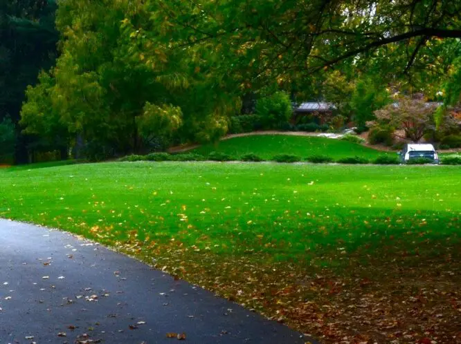 The Harmony of House and Garden_featured_image