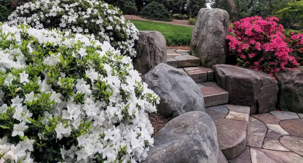 Hardscape And Stonework Service (No-Index) Extra For Consideration 1