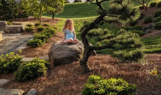 Acts of Creation_featured_image