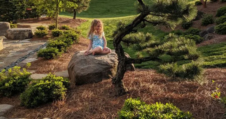 Acts Of Creation 6 Acts Of Creation 238738970 6223878017629986 8251635892202277264 N