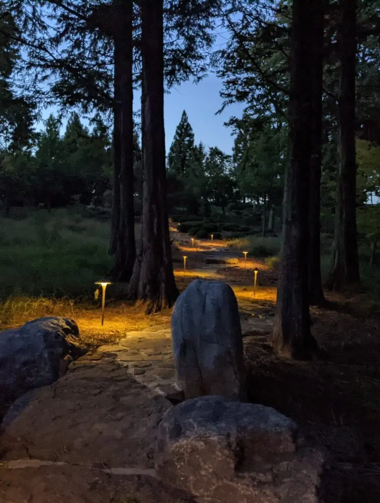 Light Your Way 2 Light Your Way 242554688 6453321224685663 7985262339811414223 N