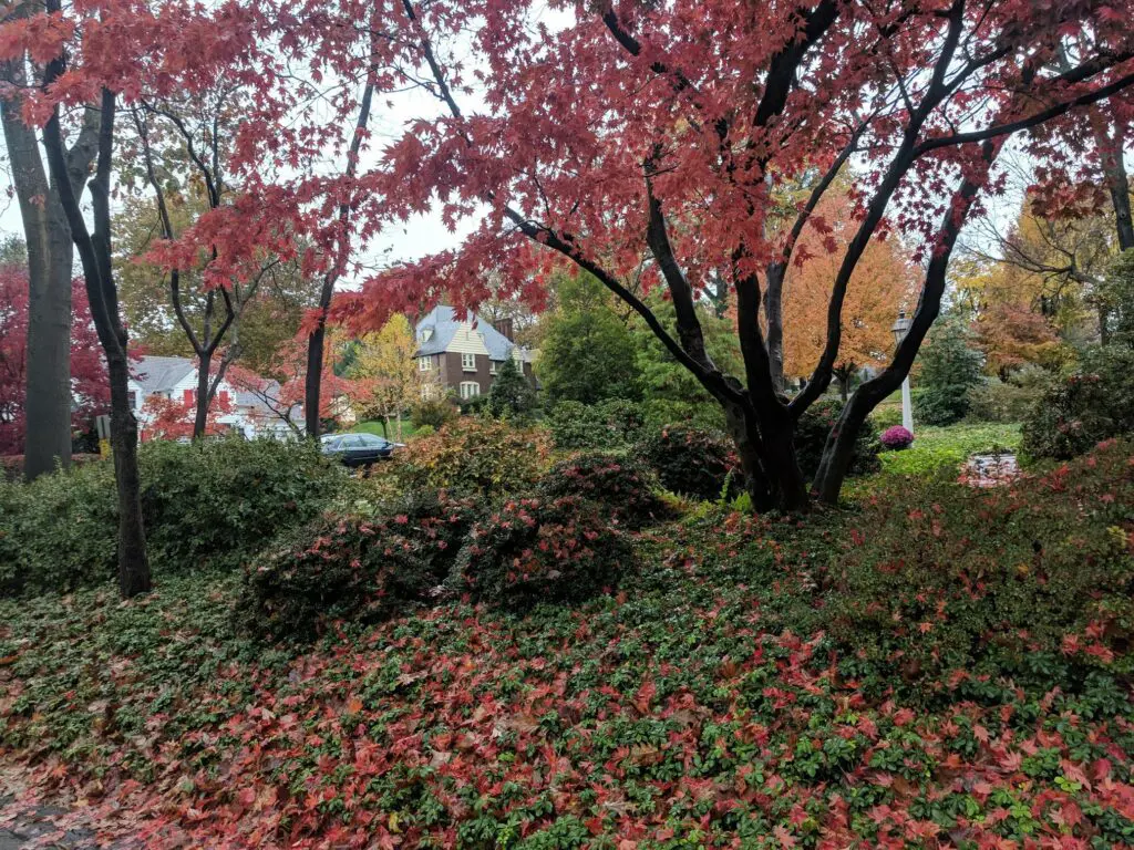 I Like The Fall 244511133 6497801720237613 3397162727494823523 N