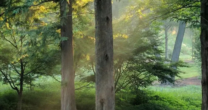 Wishing You Joy On Thanksgiving 7 Wishing You Joy On Thanksgiving 243833120 6492224424128676 7649361083725179792 N