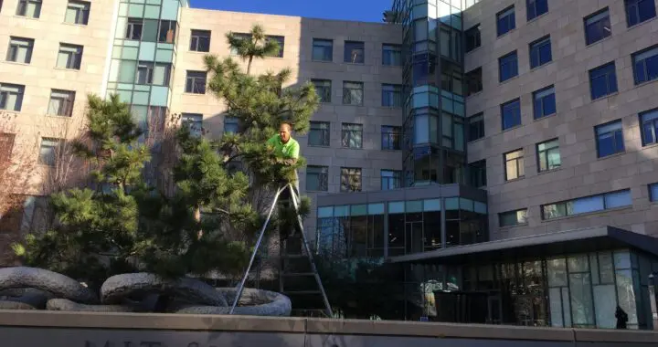 Living Art 3 Living Art 245458543 6573212829363168 5894980416887421871 N