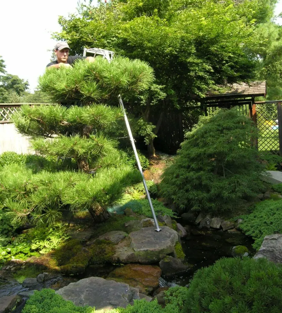 Living Art: Sculptures In The Making 9 Living Art: Sculptures In The Making 245336888 6573251902692594 8669191986463334829 N