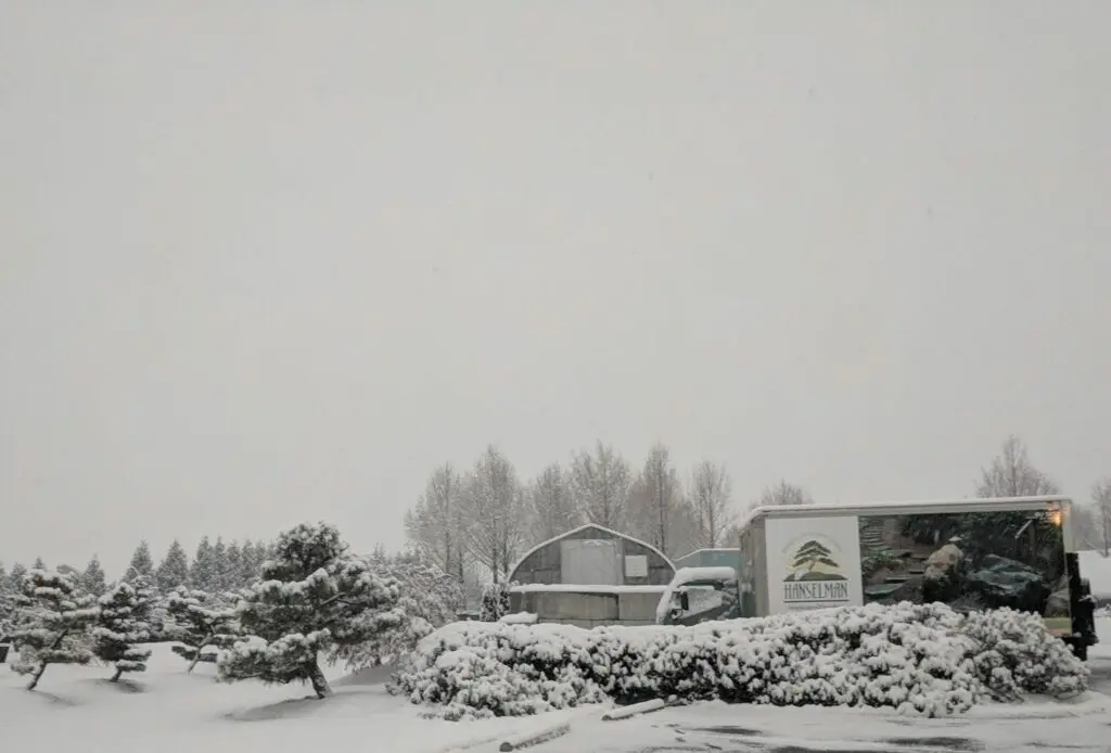 Living Art: Sculptures In The Making 10 Living Art: Sculptures In The Making 245960652 6573250062692778 6144604822080931357 N