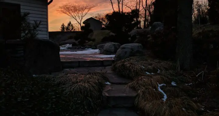 Looking Back, Looking Ahead 247716004 6604180572933060 725668707493244946 N