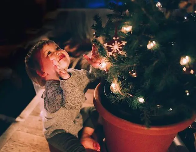 May the joy, wonder and peace embedded in the Christmas_featured_image